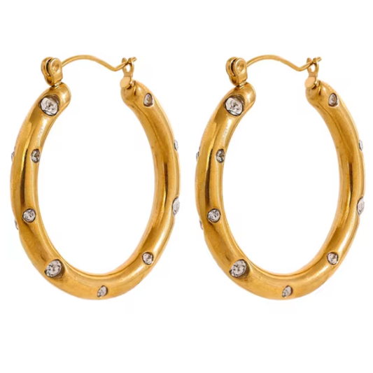 Raquel Stainless Steel Hoop Earrings