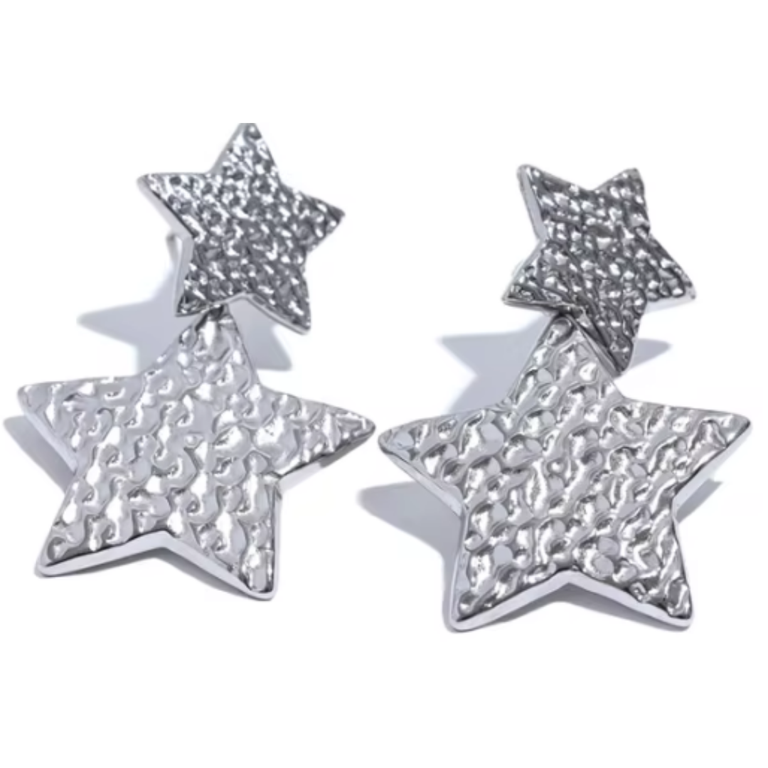 Charlotte Stainless Steel Earrings